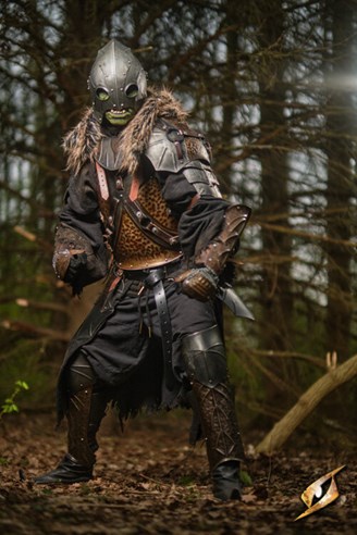 Raider Complete set Raider Complete set