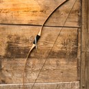 Product thumb image