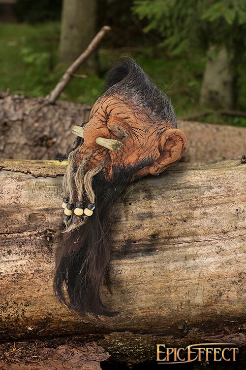 Dwarf Shrunken head Product image