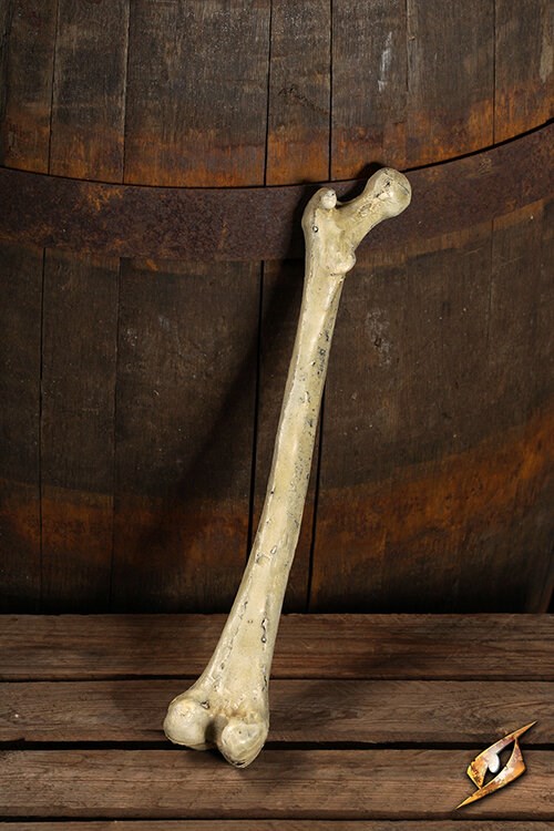 Thigh Bone Product image